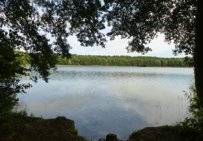 ds189_28229.JPG