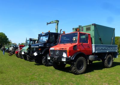 tf610.JPG