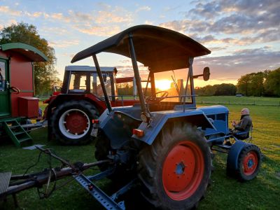 Oldtimer-Fitzen
