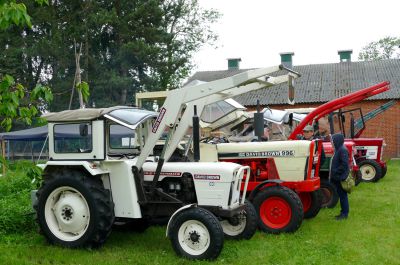 tr781_28229.JPG